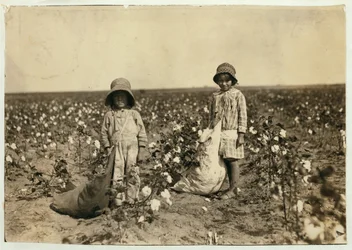 Jewel und Harold Walker, 6 und 5 Jahre alt, pflücken 20 bis 25 Pfund Baumwolle pro Tag in Geronimo, Comanche County, Oklahoma, 1916