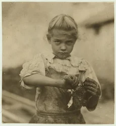 Rosie, 7 Jahre alt, Analphabetin, arbeitet im zweiten Jahr als Austernöffnerin bei der Varn und Platt Canning Company, Bluffton, South Carolina, 1913