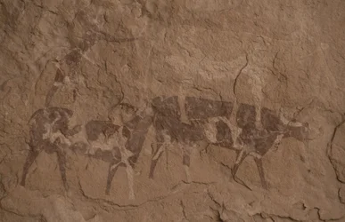 Rinder und menschliche Figuren, Höhlenmalerei, Oued in Djeran, in der Nähe von Djanet, Tassili n