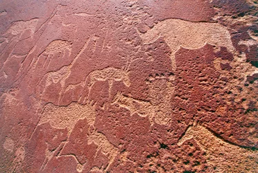 Namibia, Damaraland Wildnisgebiet, Twyfelfontein, Brandberg-Gebirge, Felsgravuren aus der Steinzeit