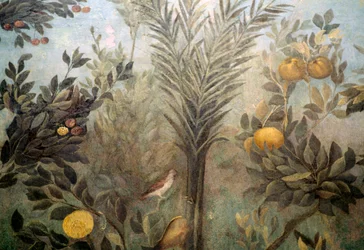 Granatapfelbaum, Detail eines Freskos mit einem Garten mit Obstbäumen und Vögeln, aus dem Haus der Livia auf dem Palatin, Rom, Italien. Römische Zivilisation