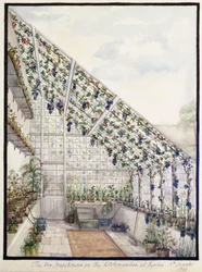 Die beiden Traubenhäuser im Küchengarten, Aynhoe