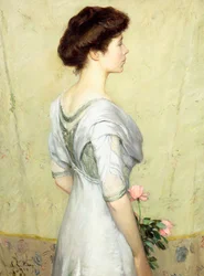 Die rosa Rose