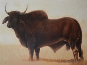 Brahmanenbulle