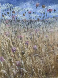Wiesenkerbel 1