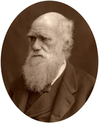 Charles Darwin, 1878