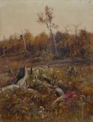Landschaft