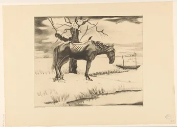 Pferd in einer verschneiten Landschaft