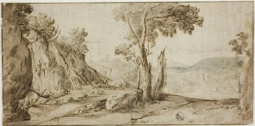 Felsen und Bäume am Rand eines Hügels