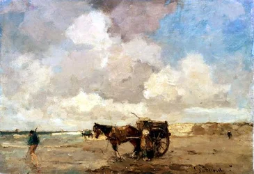 Seetang sammeln