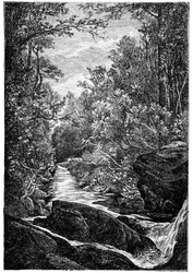 Bergbach mit Felsen und Wasserfall inmitten eines Waldes. Zeichnung von Leon Benett, graviert von Meaulle für die Hetzel-Ausgabe des Buches von Elysee (Elisee) Reclus (1830-1905) „Histoire d