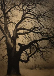 Léon Spilliaert (1881-1946) Baum im Winter