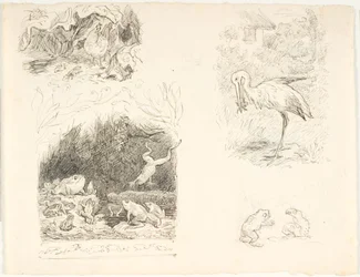 Vier Entwürfe für Illustrationen zu Die Kröte, H.C. Andersens Neue Märchen und Geschichten