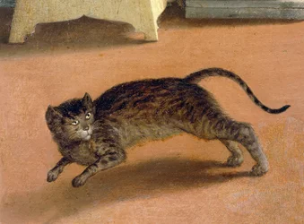 Erschrockene Katze (Detail)