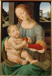 Madonna