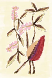 Rosa Beeren Botanicals