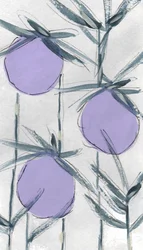 Lila Botanische Früchte