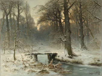 Ein Januarabend im Wald von Den Haag