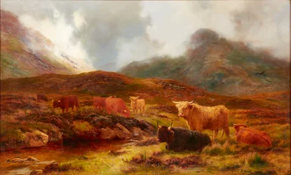 Moorland bei Clachaig, Glencoe