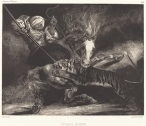 Angriff des Tigers