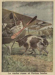 Kuh verhindert den Start eines deutschen Flugzeugs, Luzk, Russland, Erster Weltkrieg