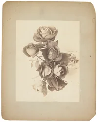 Tiffany Studios, ca. 1898-1920