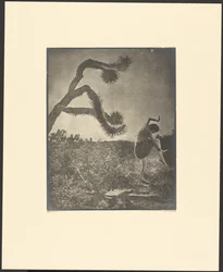 Apache-Tanz