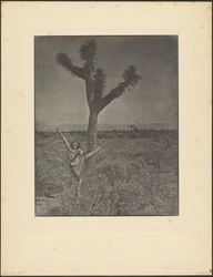Tänzer bei Joshua Tree