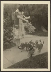 [Florence und Katzen]
