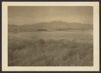 Landschaft
