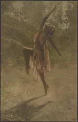 Rosentanz des Südens