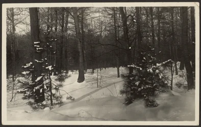 Verschneite Landschaft