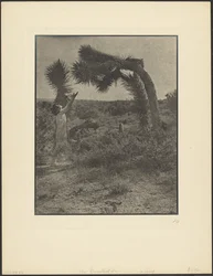 Der Segen