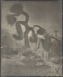 Der närrische Josua