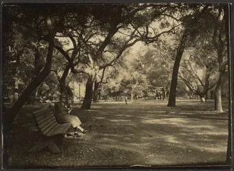 [Frau in einem Park]