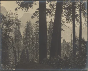 [Waldige Landschaft]