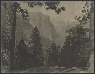 Yosemite, durch die Kiefern