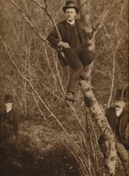 Mann saß in einem Baum, 1937