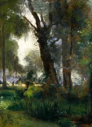 Der Rand der Karlsaue, Kassel