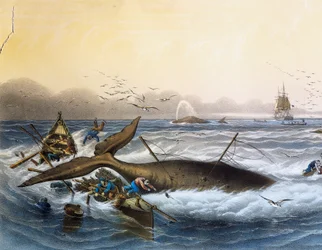 Walfang in den Südmeeren, Farblithographie von Louis Lebreton (gestorben 1866)