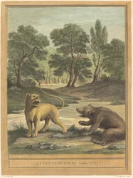 Die Löwin und der Bär