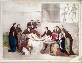 Die Anatomie-Lektion (Lithographie)