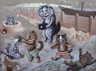 Katzen baden im Meer