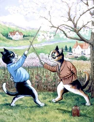 Fechtende Katzen