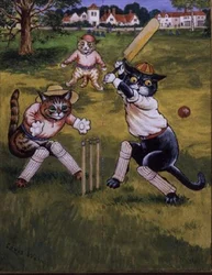 Katzen spielen Cricket