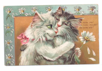Edwardianische Postkarte von zwei sich umarmenden Katzen, ca. 1910