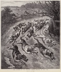 Hunde in vollem Lauf zu Beginn der Jagdsaison