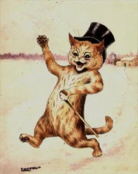 Top-Katze!