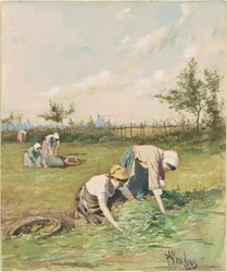 Ährenleser im Feld
