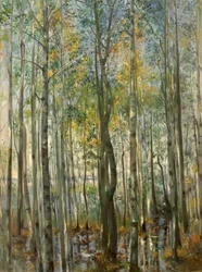 Ein Wald. Überschwemmung am Starnberger See